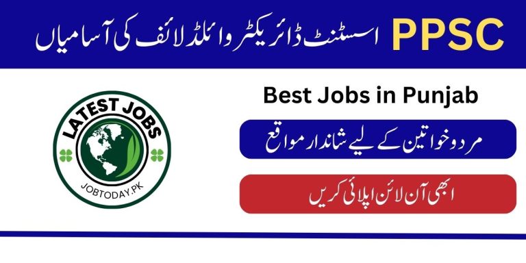 PPSC Assistant Director Wildlife Jobs 2024